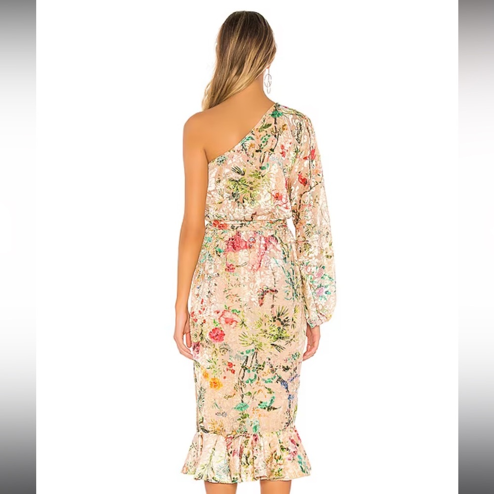 Revolve dress, HEMANT AND NANDITA Veena Dress in Nude Size S. Belt is damaged - Picture 3 of 14